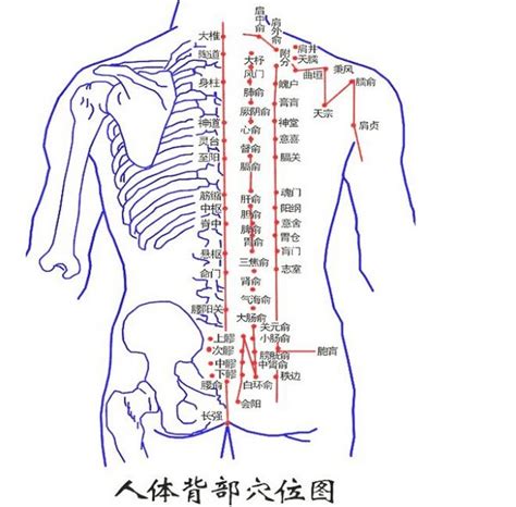 背部痣吉凶|【背部有痣】掌握背部有痣的命運奧秘！發現驚人的吉凶預兆與命。